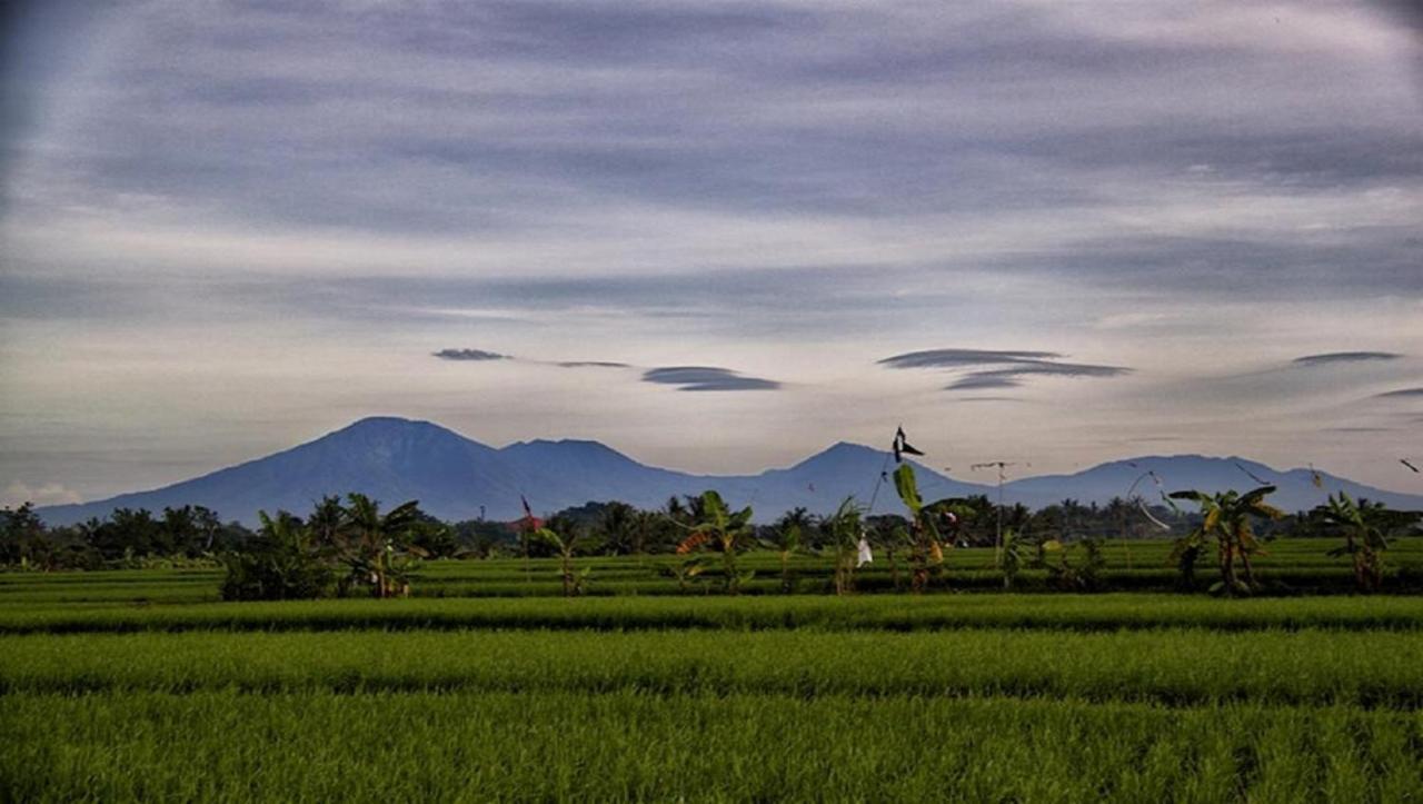 Pnb Bali Villas ชังกู ภายนอก รูปภาพ